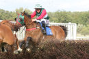 Formal Bid - Race 7 (6)
