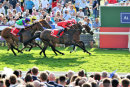 Holmeswood & Intense Romance - Race 7 (16)