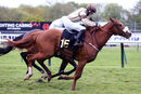 Race 7 (1) - Dont Joke