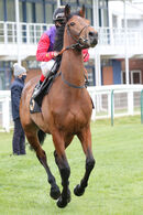 Race 7 (1) - Encourage