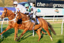 Race 7 (1) - Stormin Norman