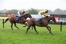 Race 7 (20) - Dutch Artist