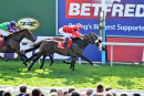 Holmeswood & Intense Romance - Race 7 (19)