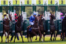 Dawaa - Race 7 (7)