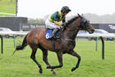 Race 7 (22) = Atalanta Queen