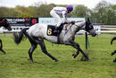 Race 7 (2) - Bawaader