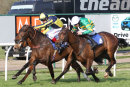 Whos My Jockey - Race 7 (37)