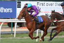 Race 7 (3) - Claret Dabbler