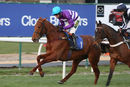 Race 7 (4) - Claret Dabbler