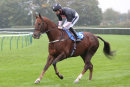 Race 7 (4) - Move In Time