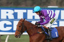 Race 7 (5) - Claret Dabbler
