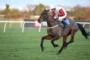 Race 7 (6) - Carlo Rocks
