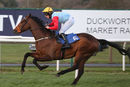 Race 7 (6) - High Priest