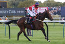 Race 8 - Alpine Mistral (11)