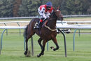 Race 8 - Alpine Mistral (5)