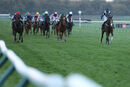 Race 8 - Bad Company (2)