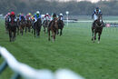 Race 8 - Bad Company (3)