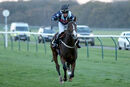 Race 8 - Bad Company (7)