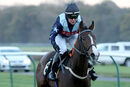 Race 8 - Bad Company (9)