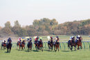 Race 8 - Bayston Hill (2)