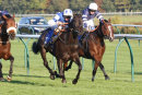 Race 8 - Bayston Hill (3)