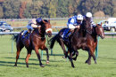 Race 8 - Bayston Hill (5)