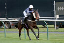 Race 8 - Born To Please (9)