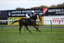 Race 8 - Born To Please (16)