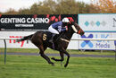 Race 8 - Born To Please (17)