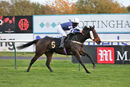 Race 8 - Born To Please (18)