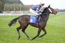 Race 8 - Born To Please (2)