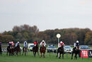Race 8 - Born To Please (3)