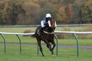 Race 8 - Born To Please (6)