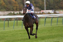 Race 8 - Born To Please (8)