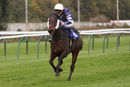 Race 8 - Born To Please (9)