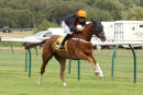 Race 8 - Born To Spend (8)