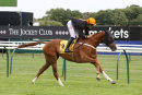 Race 8 - Born To Spend (9)