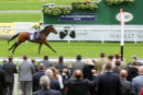 Race 8 - Captain Jameson (2)