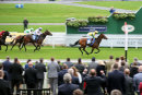 Race 8 - Captain Jameson (3)