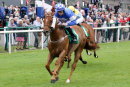 Race 8 - Danish Duke (7)