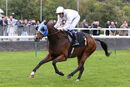 Race 8 - Dark Shot (12)