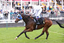 Race 8 - Dark Shot (16)