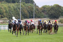 Race 8 - Dark Shot (3)