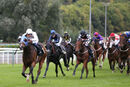 Race 8 - Dark Shot (5)