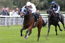 Race 8 - Dark Shot (6)