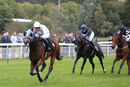 Race 8 - Dark Shot (8)