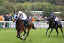 Race 8 - Dark Shot (9)