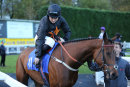 Race 8 - Debatable (2)
