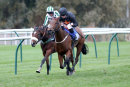 Race 8 - Debatable (3)