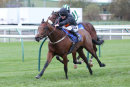 Race 8 - Debatable (4)